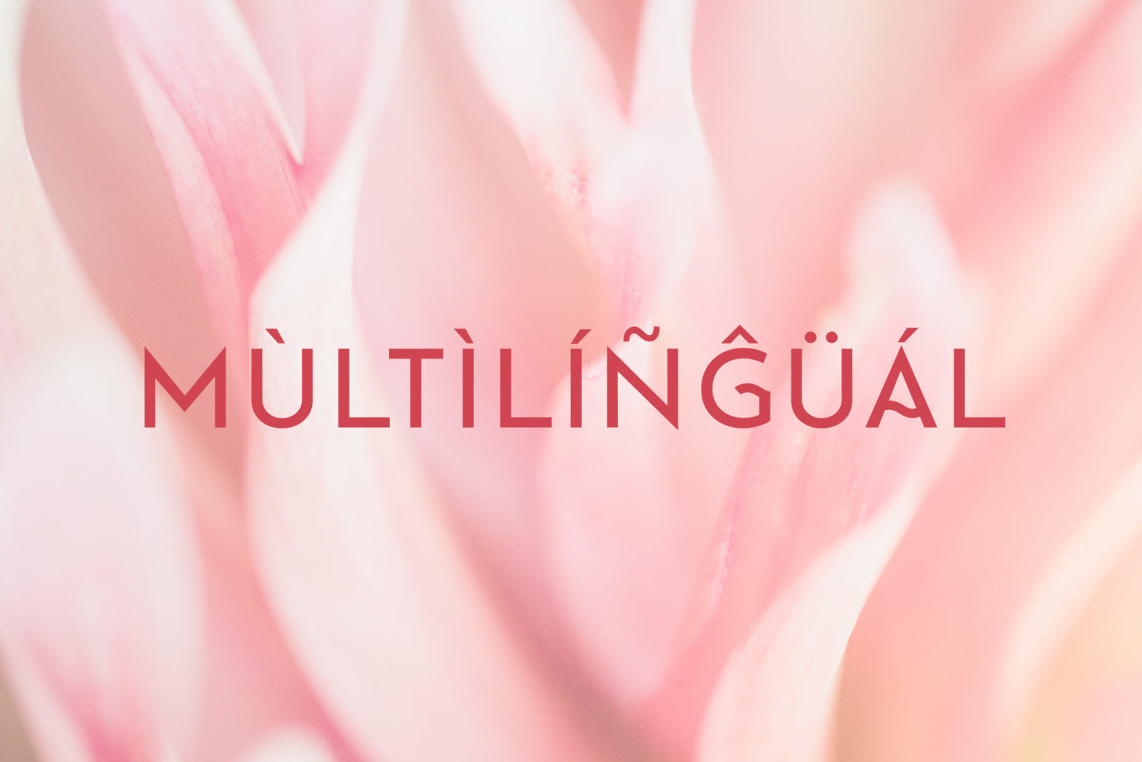 Rejova Font Family – Sans Serif Rejova Font Family – Sans Serif
