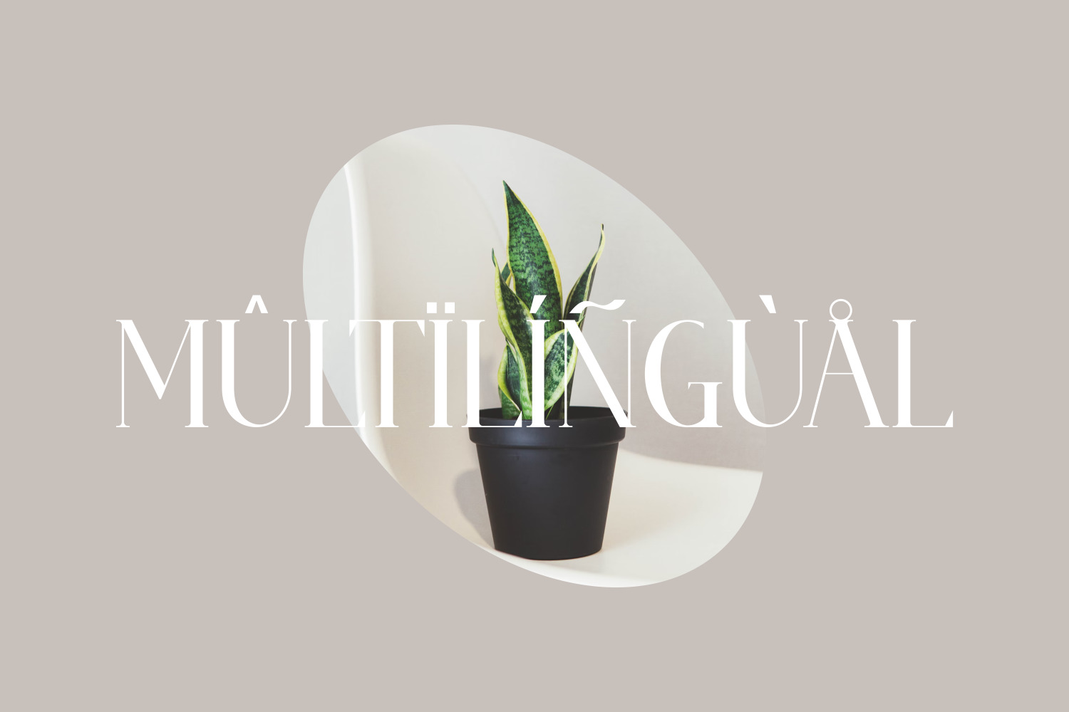 Qastars _ modern serif Qastars _ modern serif