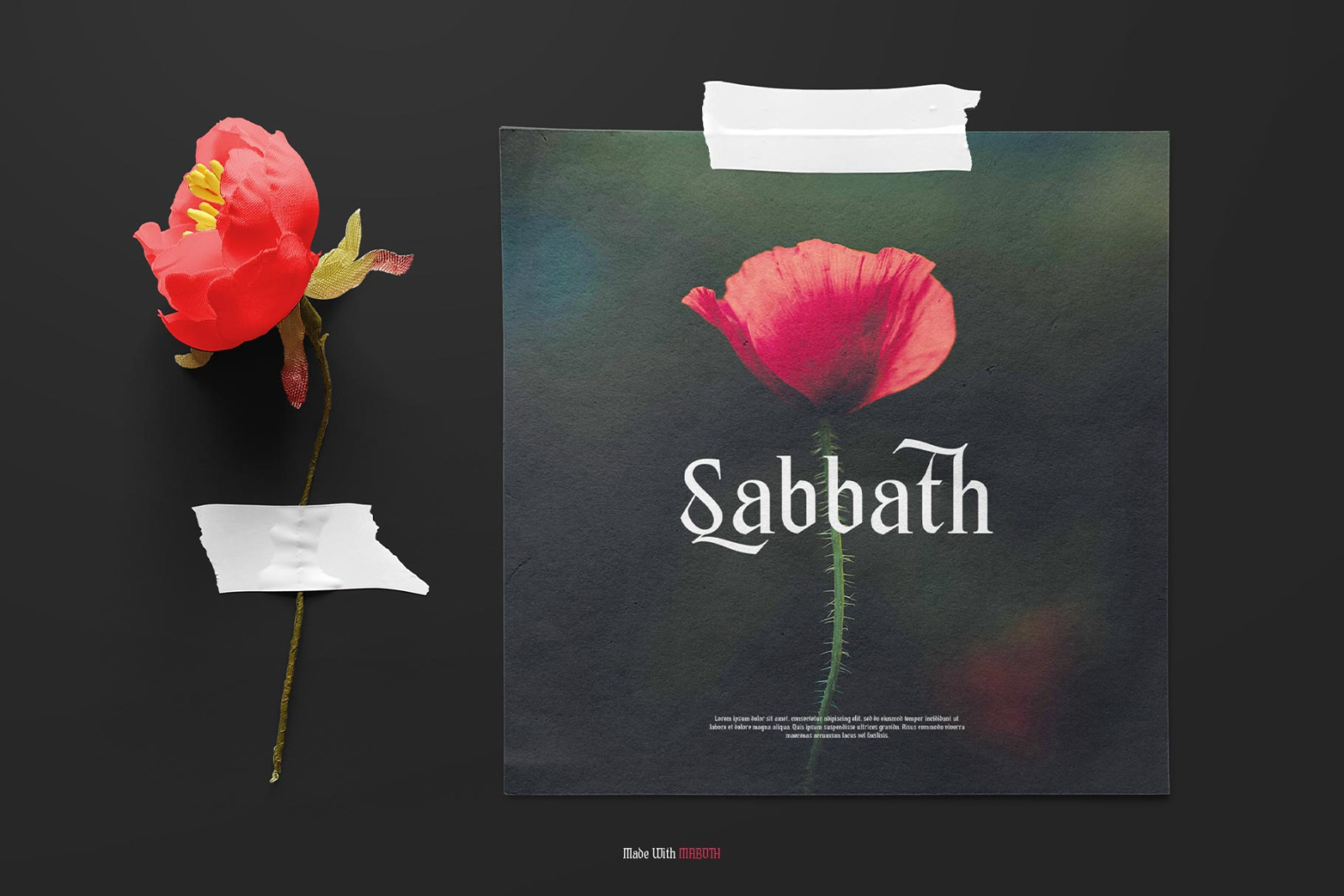 Maboth Typeface Maboth Typeface