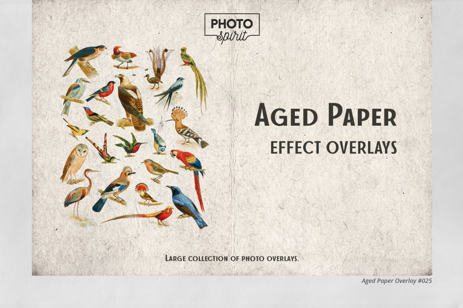 Aged Paper Effect Overlays Aged Paper Effect Overlays
