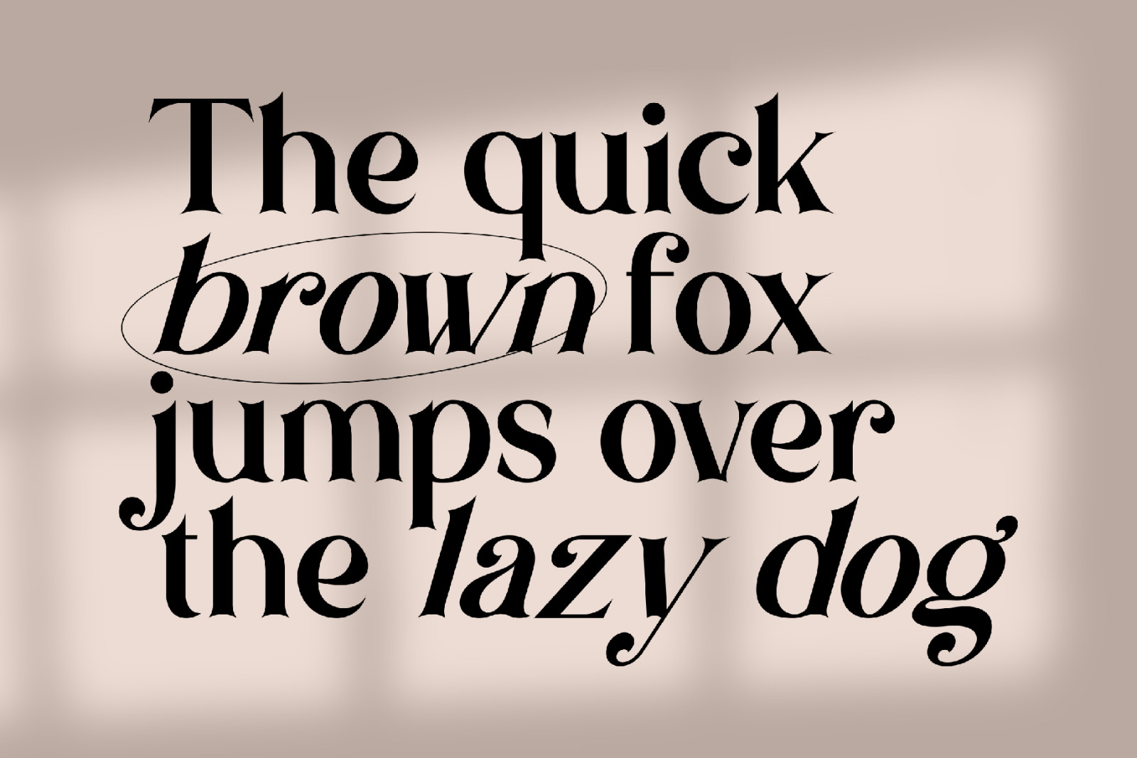 Brown Falco | classy Serif font