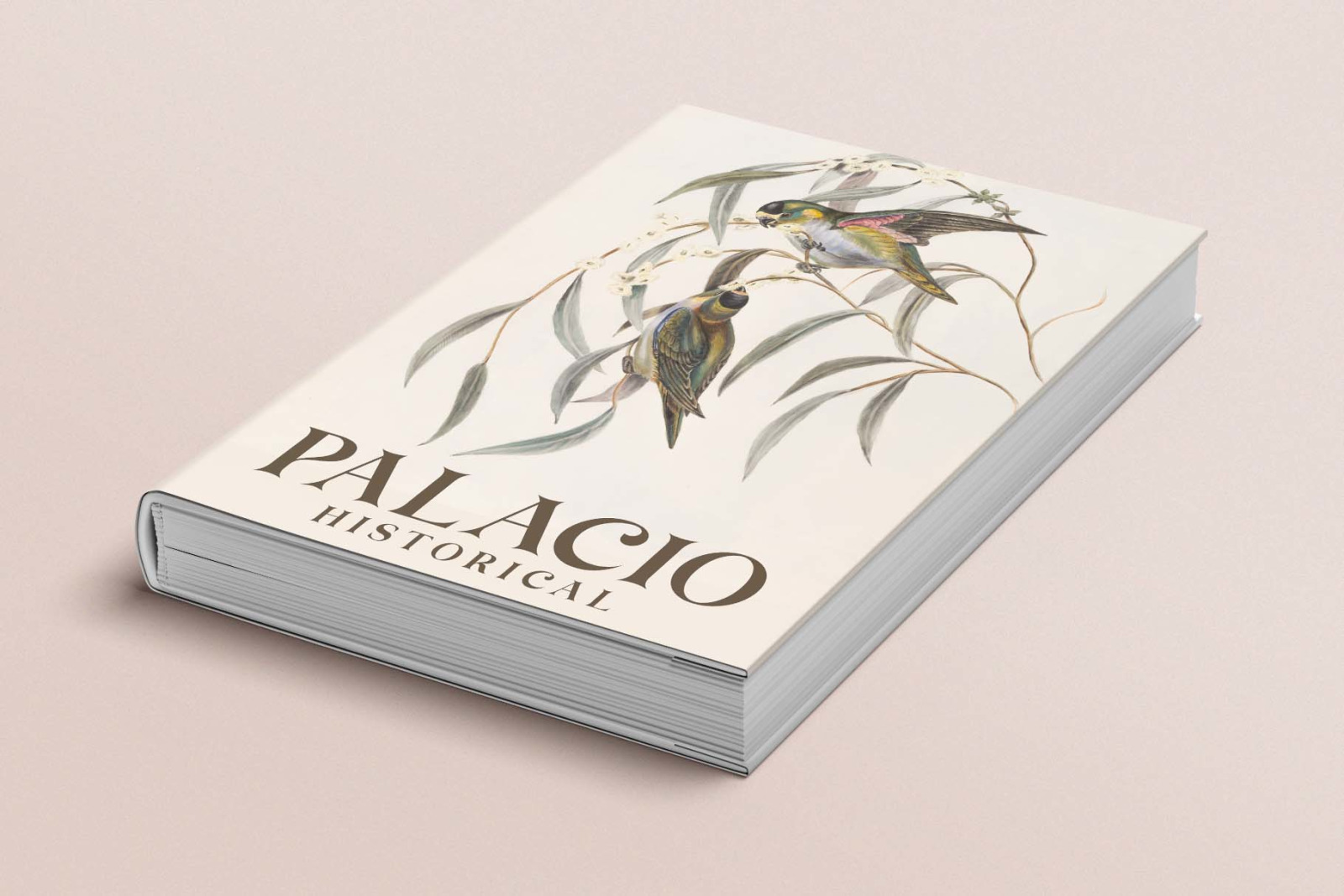Brown Falco | classy Serif font Brown Falco | classy Serif font