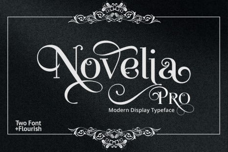 Novelia Pro - Brushscript