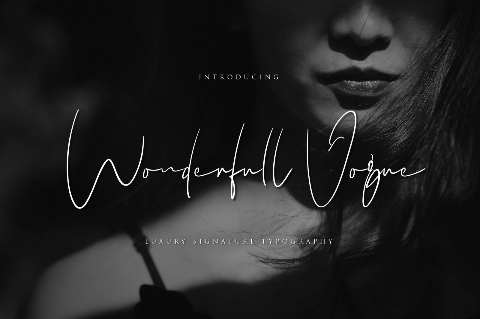 Wonderfull Vogue Wonderfull Vogue