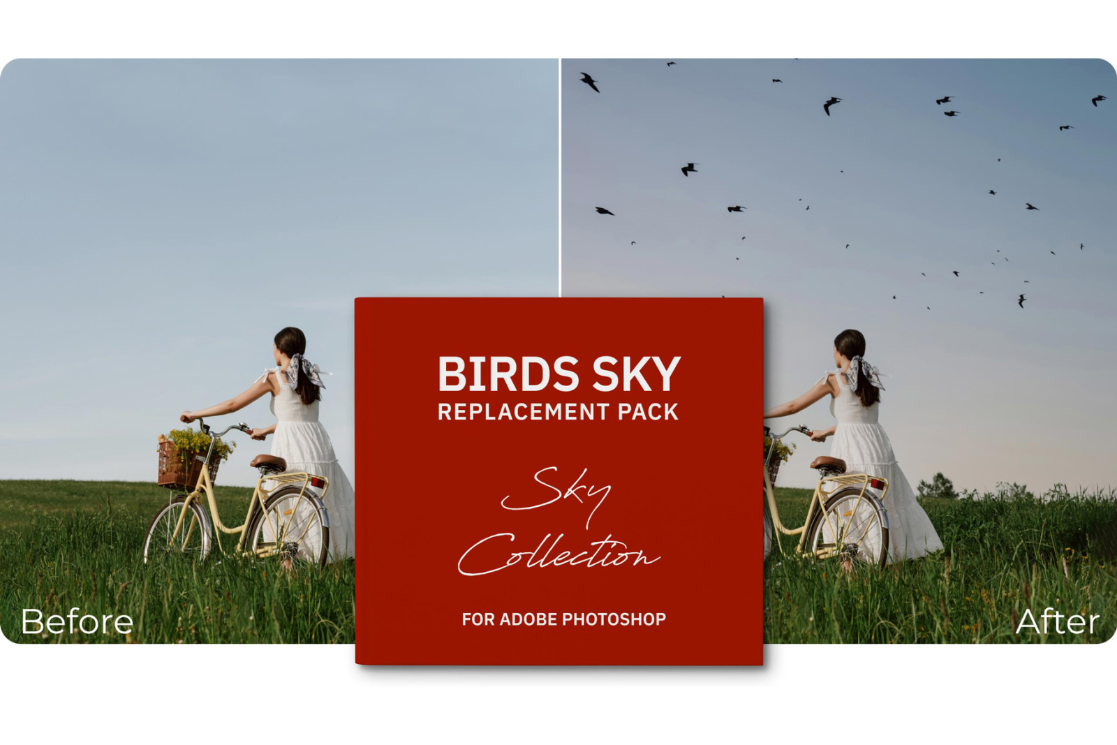 Sky Replacement Bundle for Adobe Photoshop