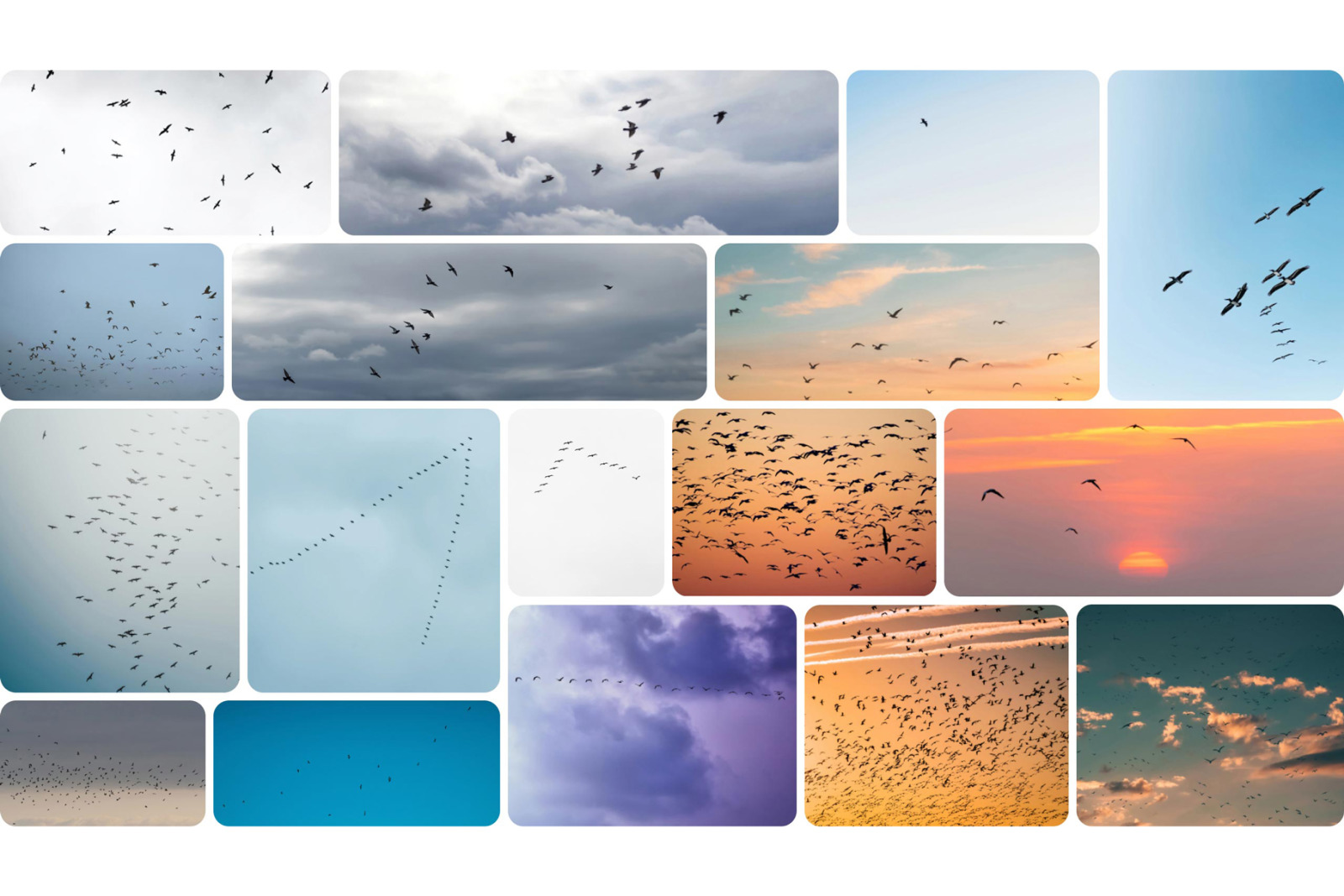Sky Replacement Bundle for Adobe Photoshop Sky Replacement Bundle for Adobe Photoshop