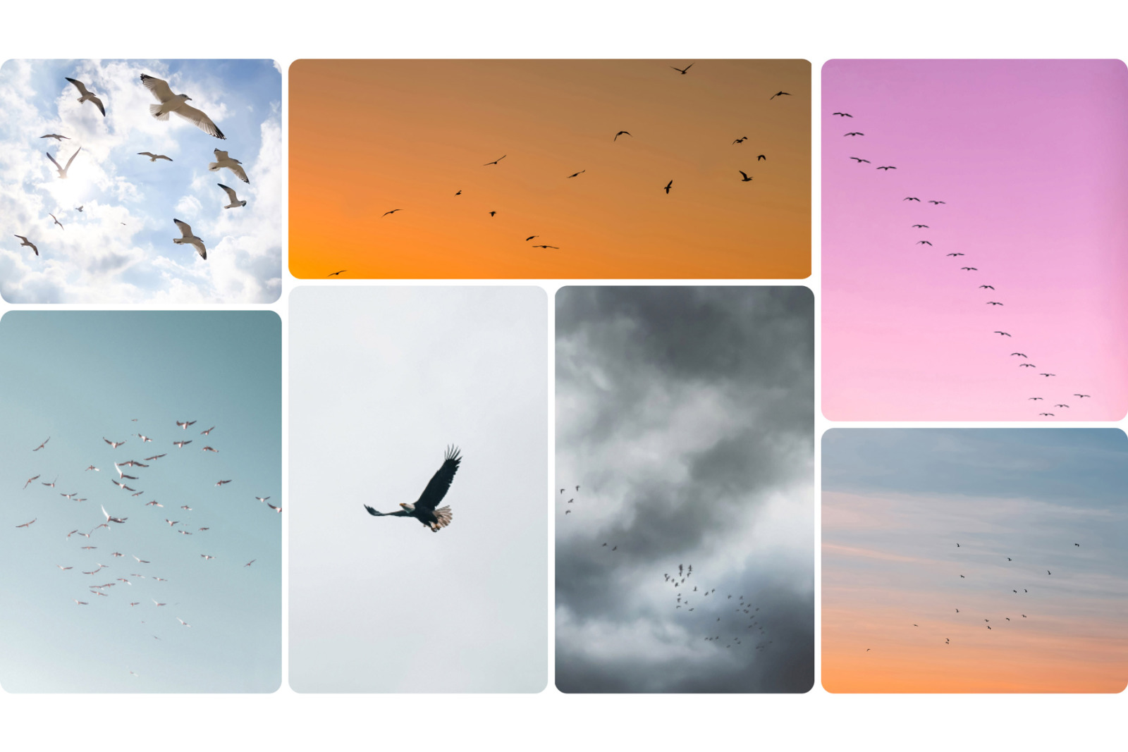 Sky Replacement Bundle for Adobe Photoshop Sky Replacement Bundle for Adobe Photoshop