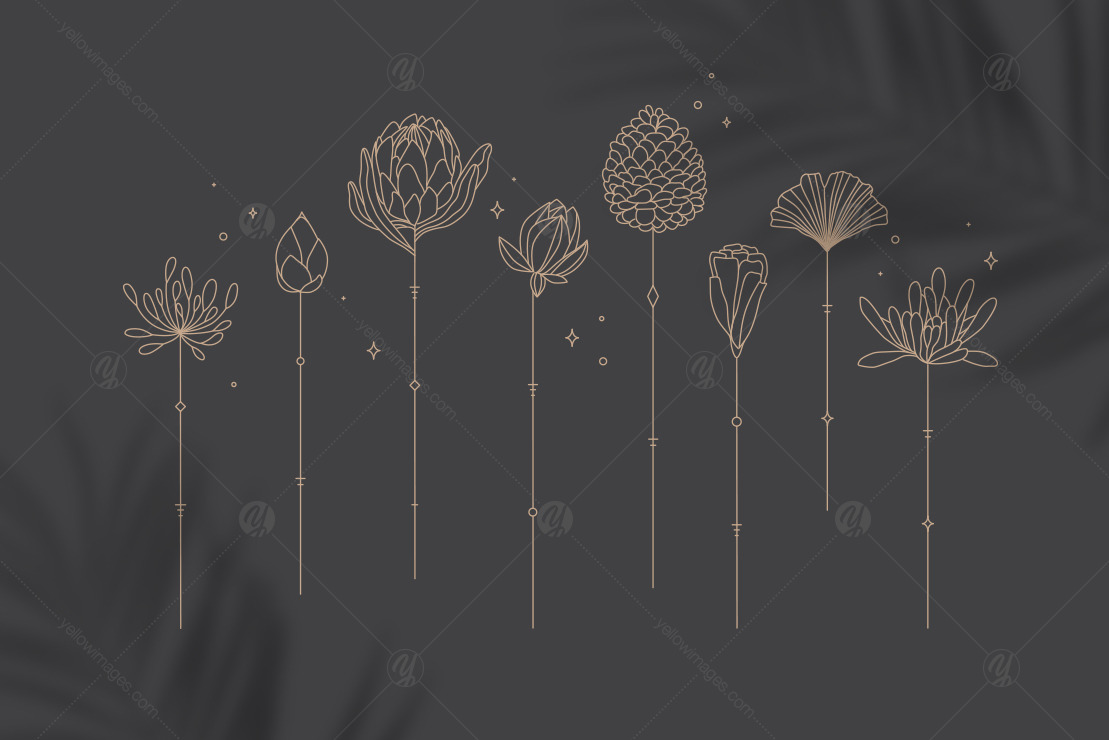Art Deco Flora & Fauna Art Deco Flora & Fauna