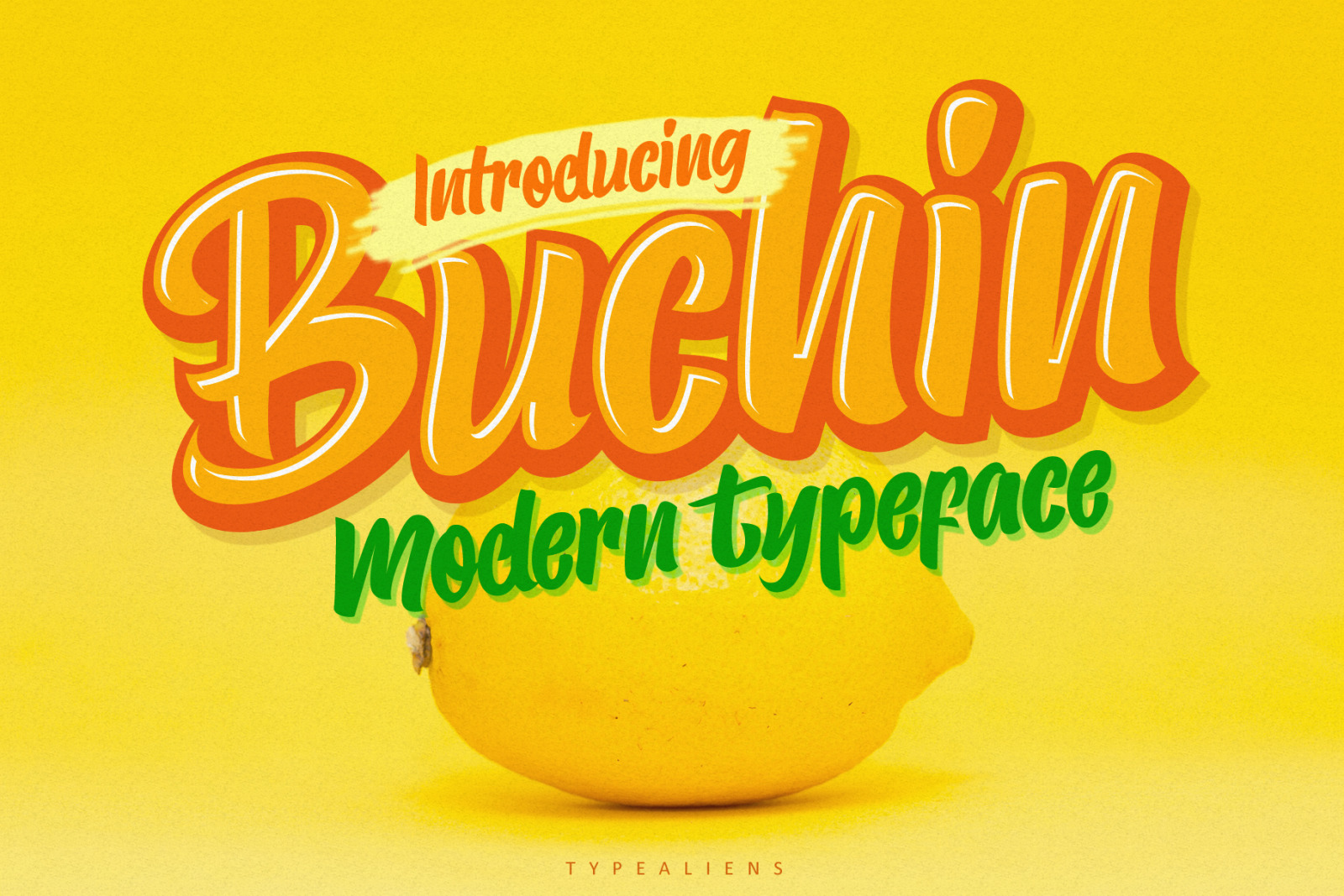 Buchin Font Buchin Font