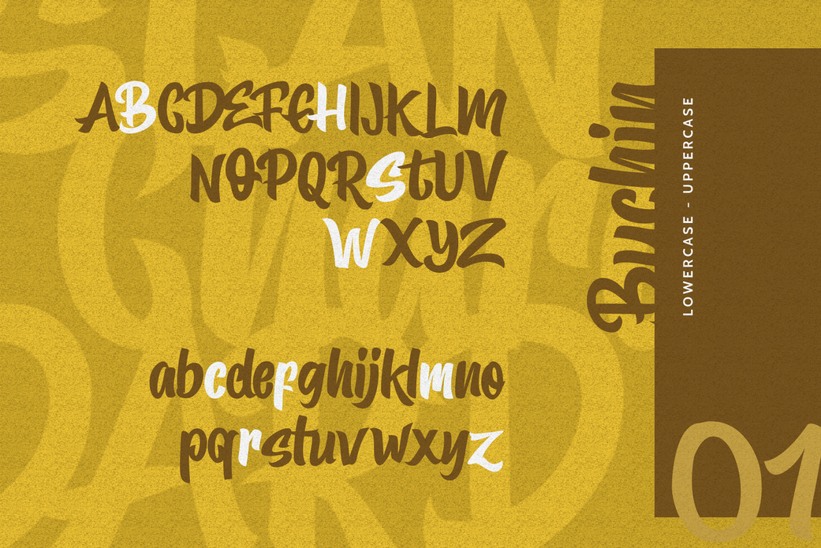 Buchin Font Buchin Font