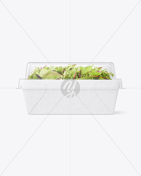 Kraft Paper Salad Box w/ Clear Plastic Lid Mockup