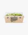 Kraft Paper Salad Box w/ Clear Plastic Lid Mockup