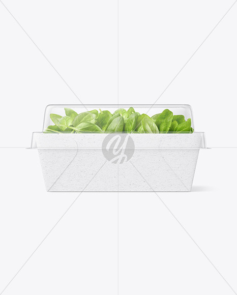 Kraft Paper Salad Box w/ Clear Plastic Lid Mockup