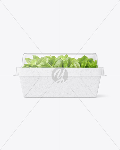 Kraft Paper Salad Box w/ Clear Plastic Lid Mockup