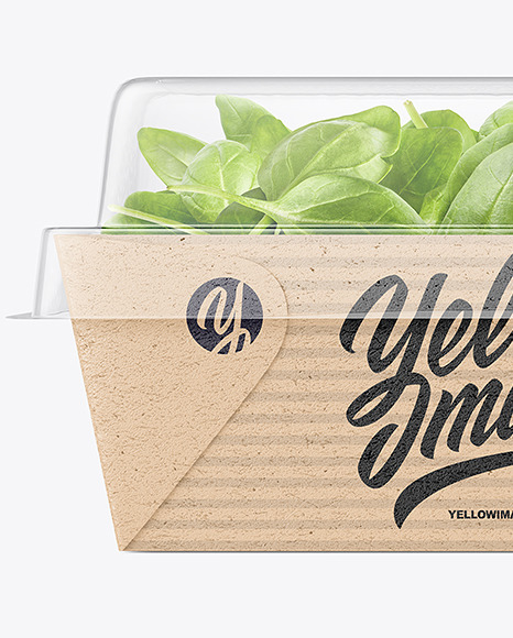 Kraft Paper Salad Box w/ Clear Plastic Lid Mockup