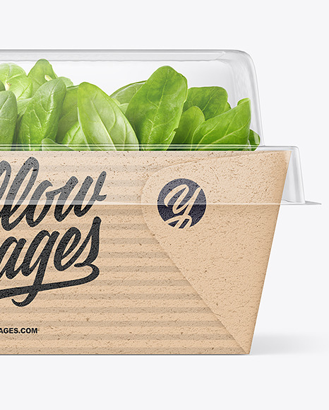 Kraft Paper Salad Box w/ Clear Plastic Lid Mockup