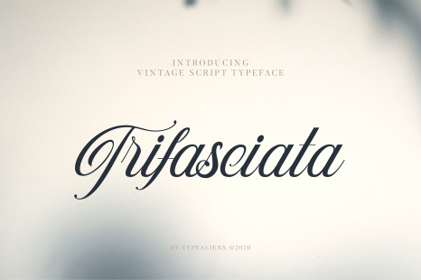 Trifasciata Font - Handwritten script font