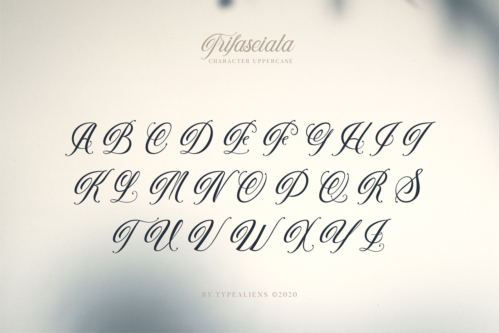 Trifasciata Font Trifasciata Font
