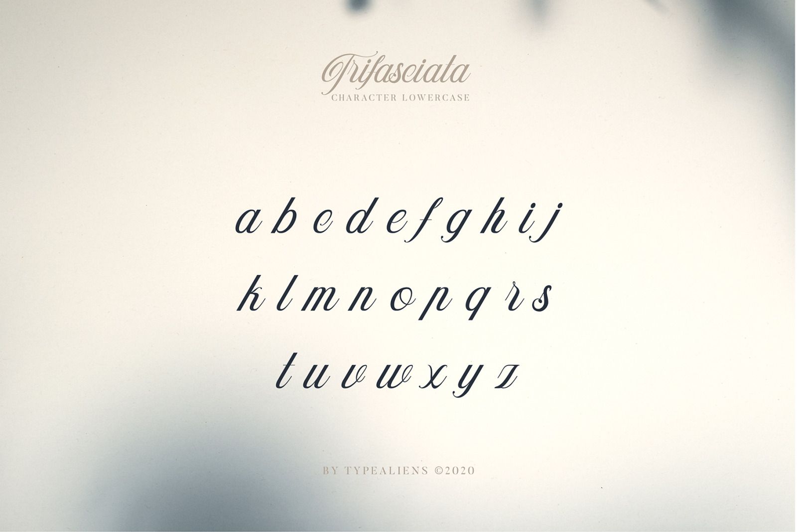 Trifasciata Font Trifasciata Font
