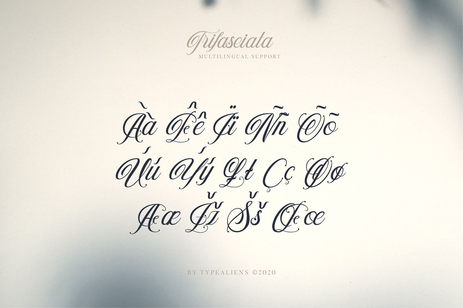 Trifasciata Font Trifasciata Font