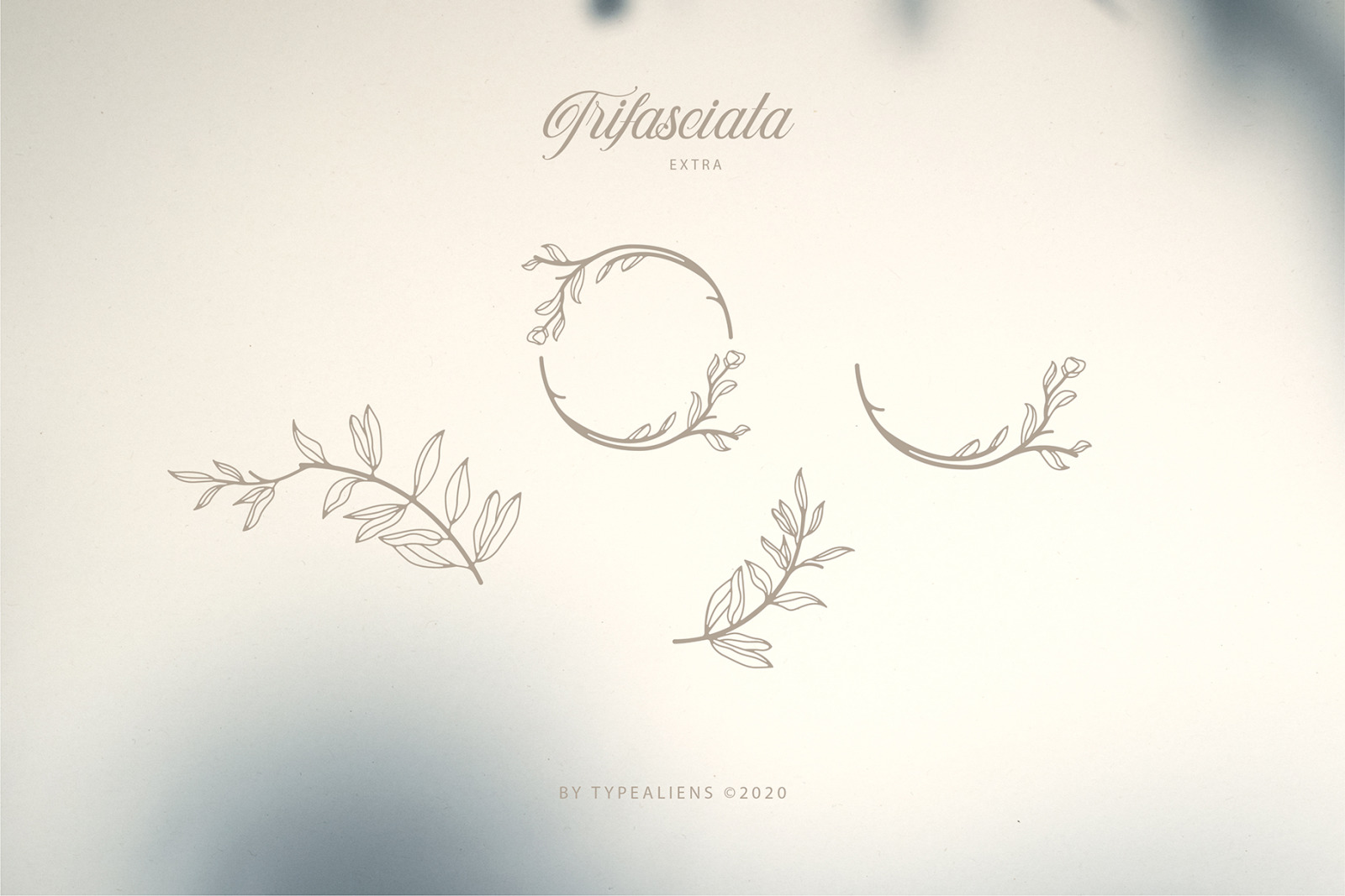 Trifasciata Font Trifasciata Font