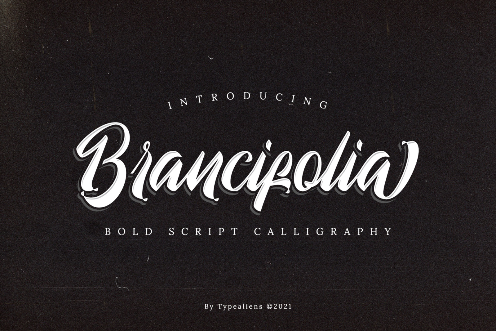Brancifolia Font Brancifolia Font