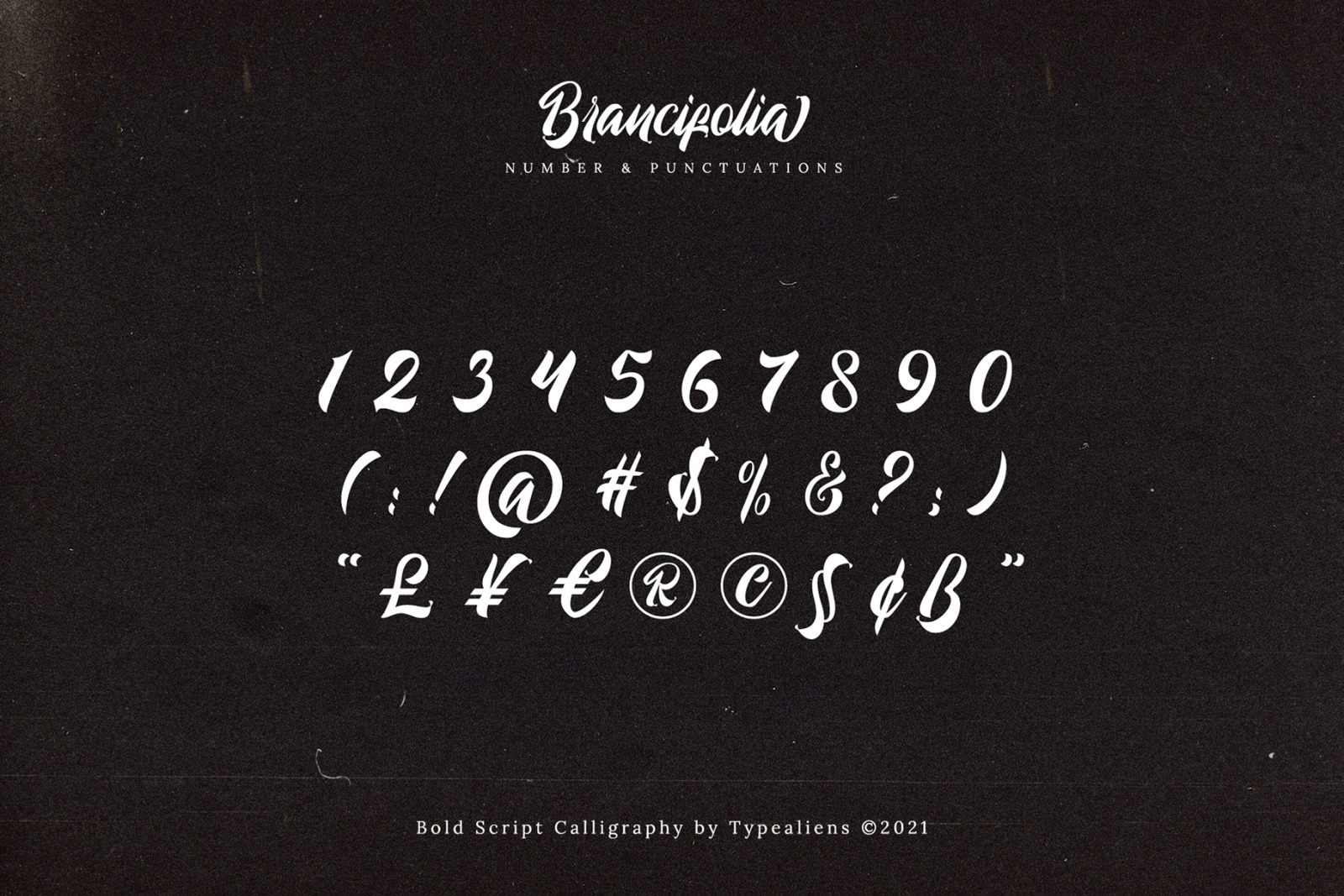 Brancifolia Font Brancifolia Font