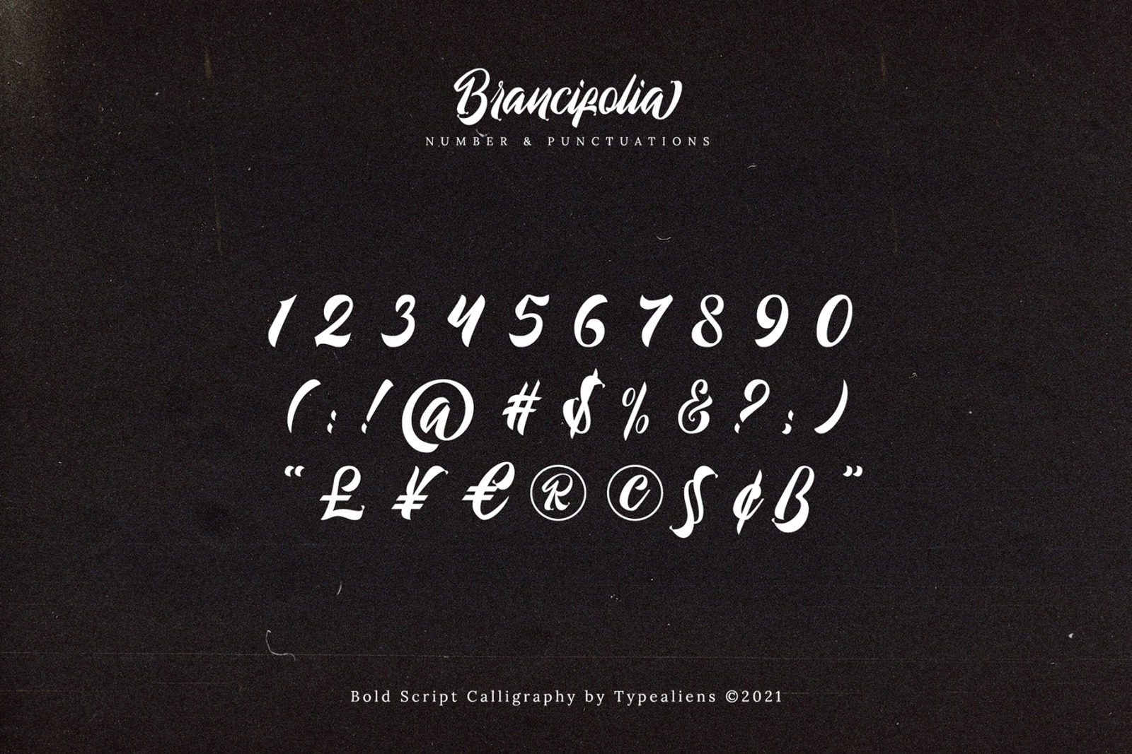 Brancifolia Font