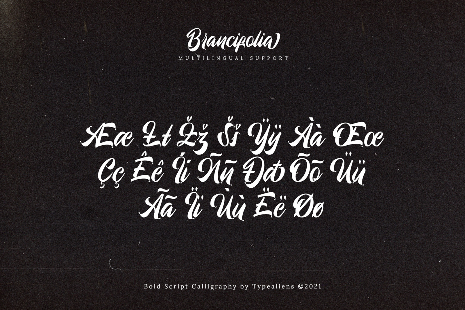 Brancifolia Font Brancifolia Font