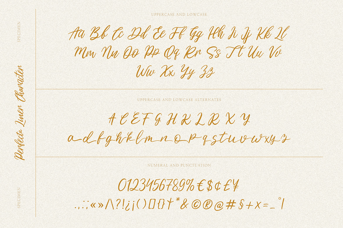 Perfecta Liner - Handwritten Script Perfecta Liner - Handwritten Script