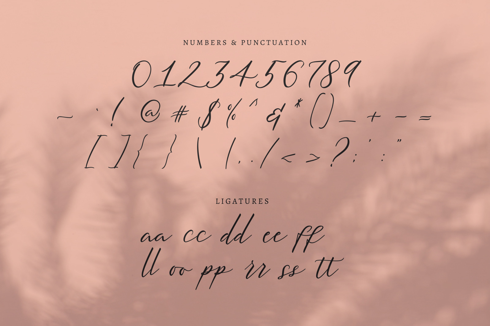 Meysha Font