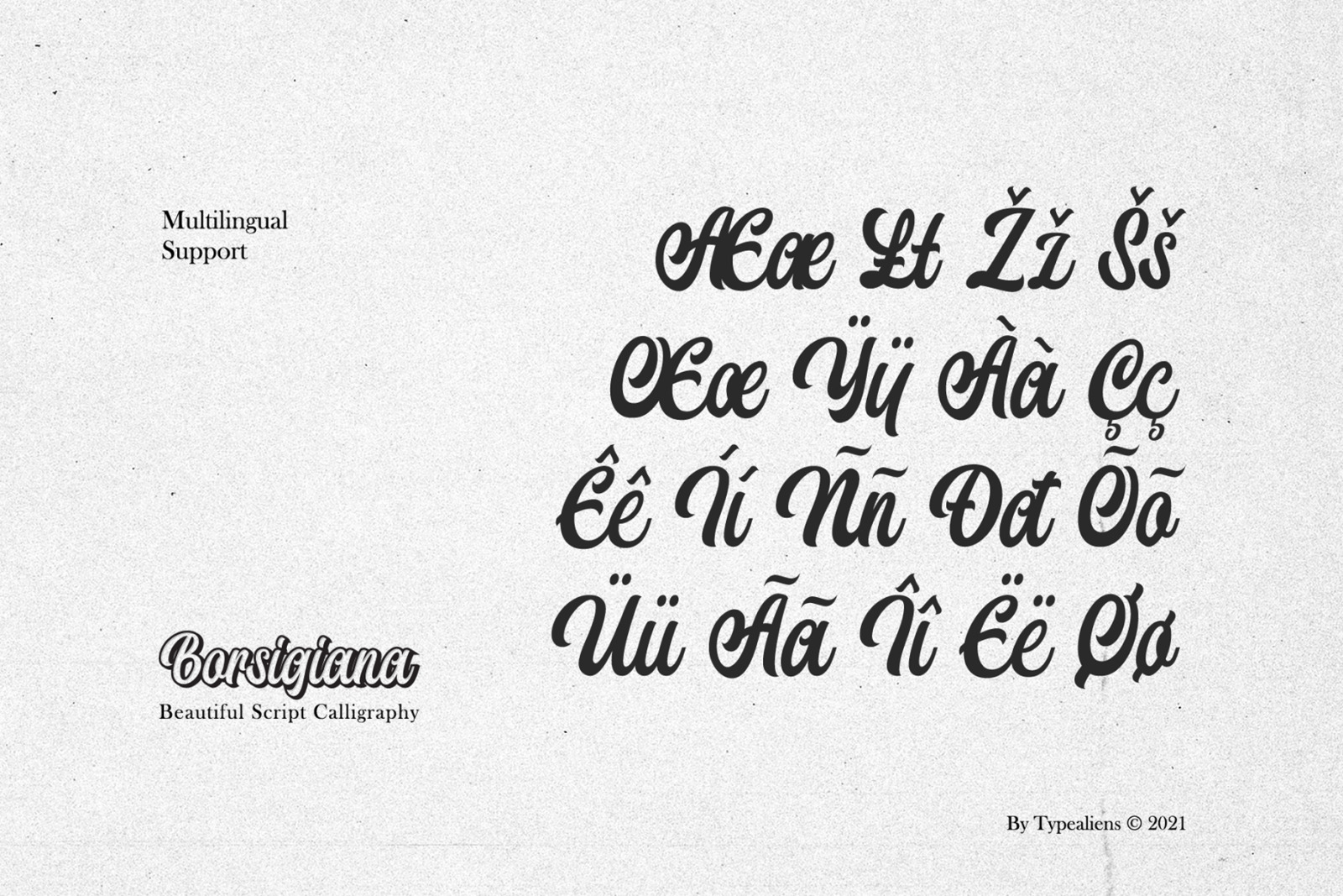 Borsigiana Font Borsigiana Font