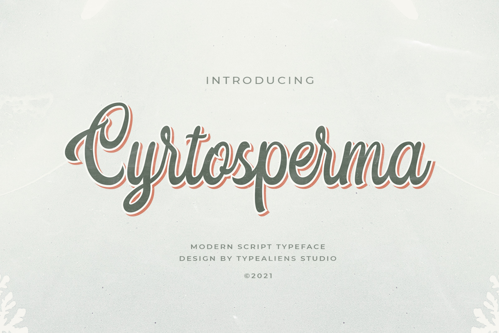 Cyrtosperma Font Cyrtosperma Font