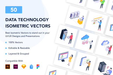 50 Isometric Data Technology Vectors - Service