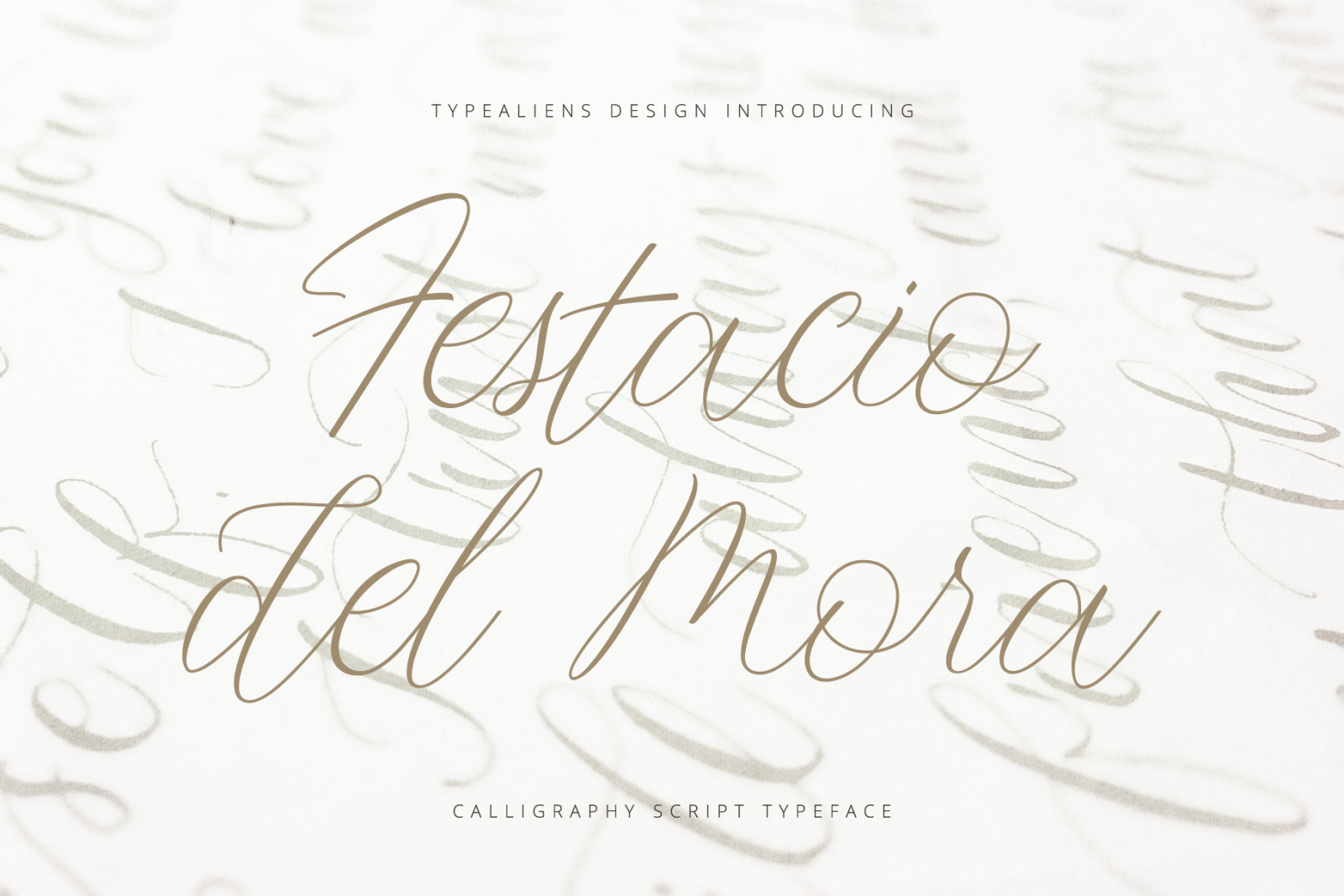 Festacio del Mora Font Festacio del Mora Font