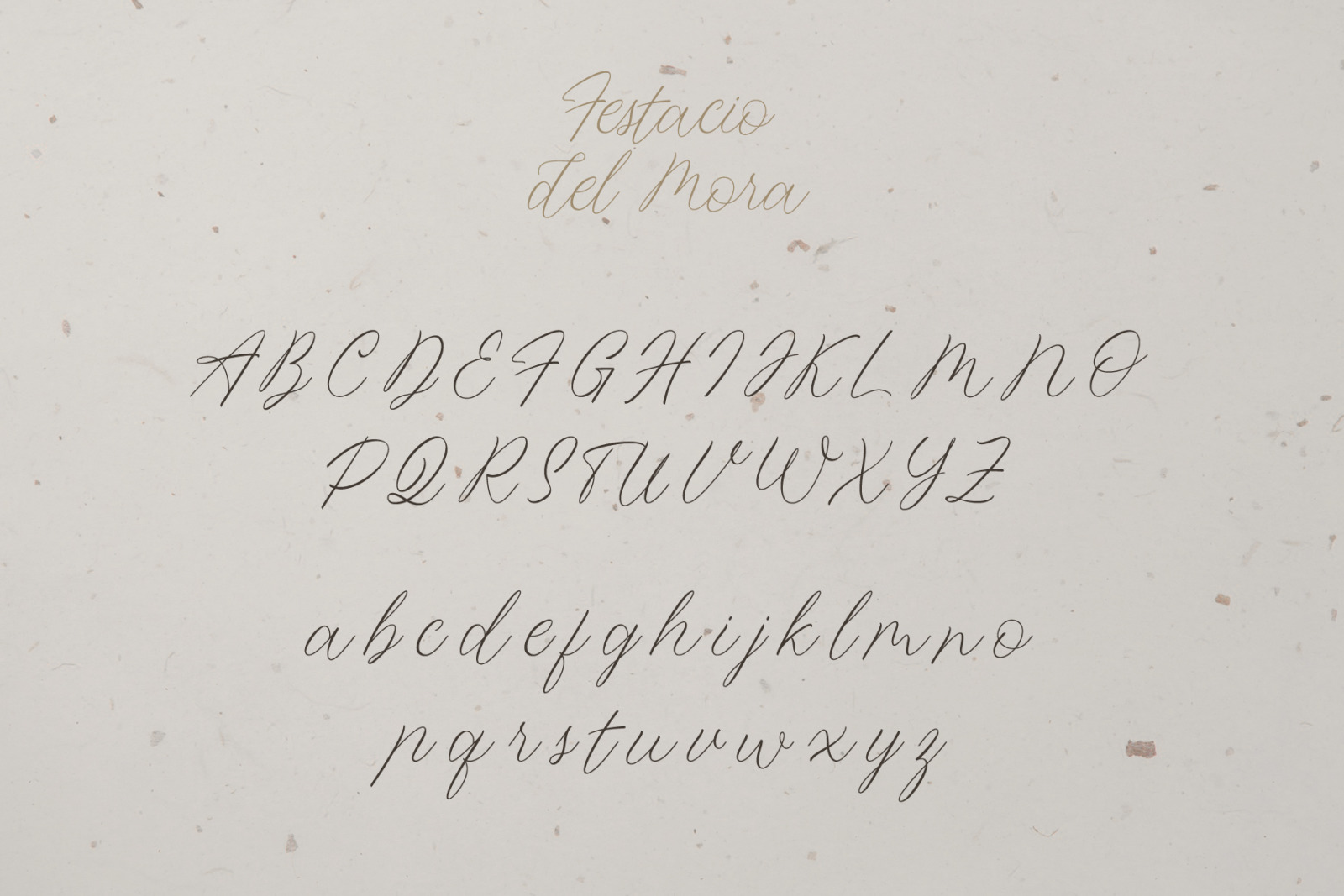 Festacio del Mora Font Festacio del Mora Font