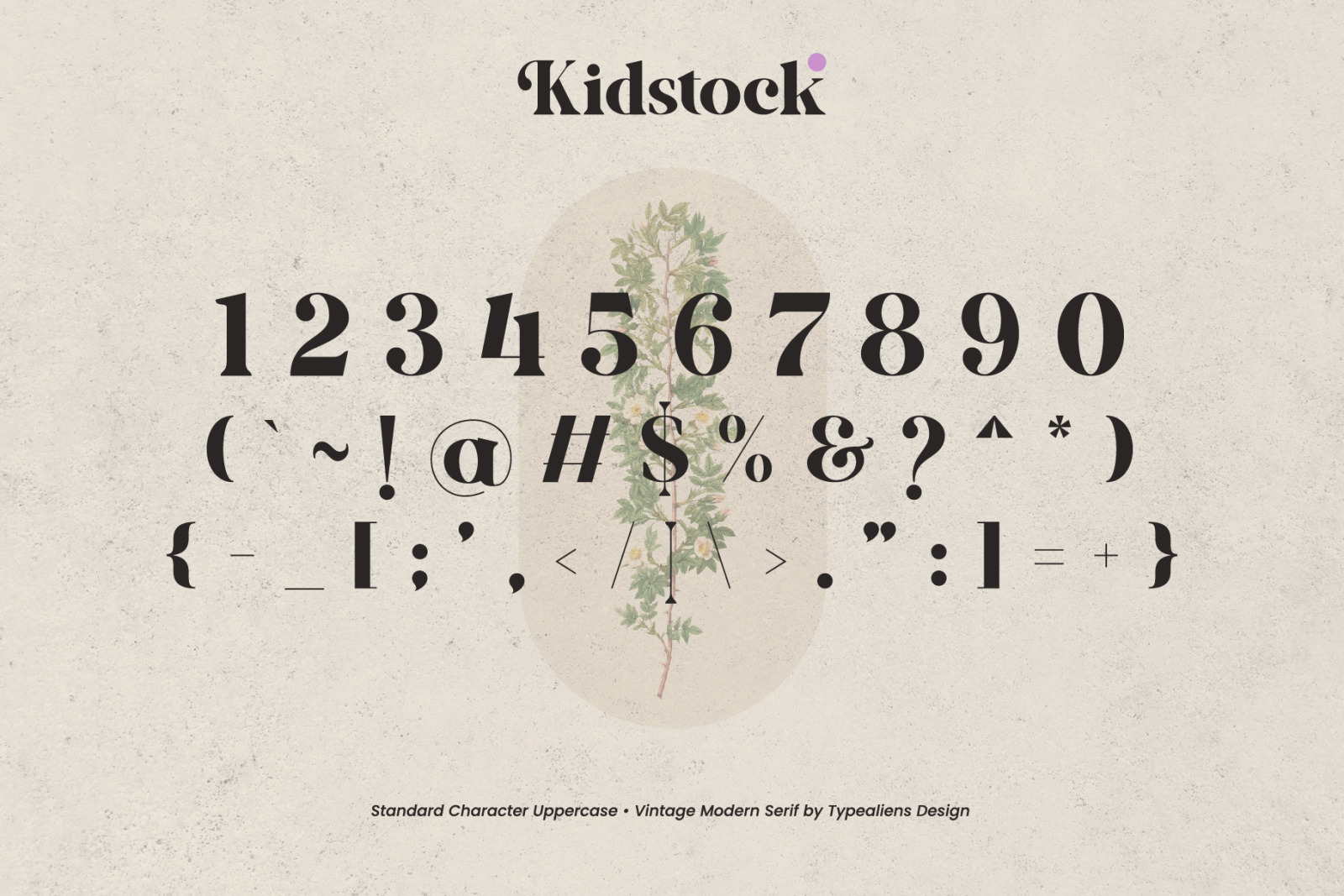 Kidstock Font Kidstock Font