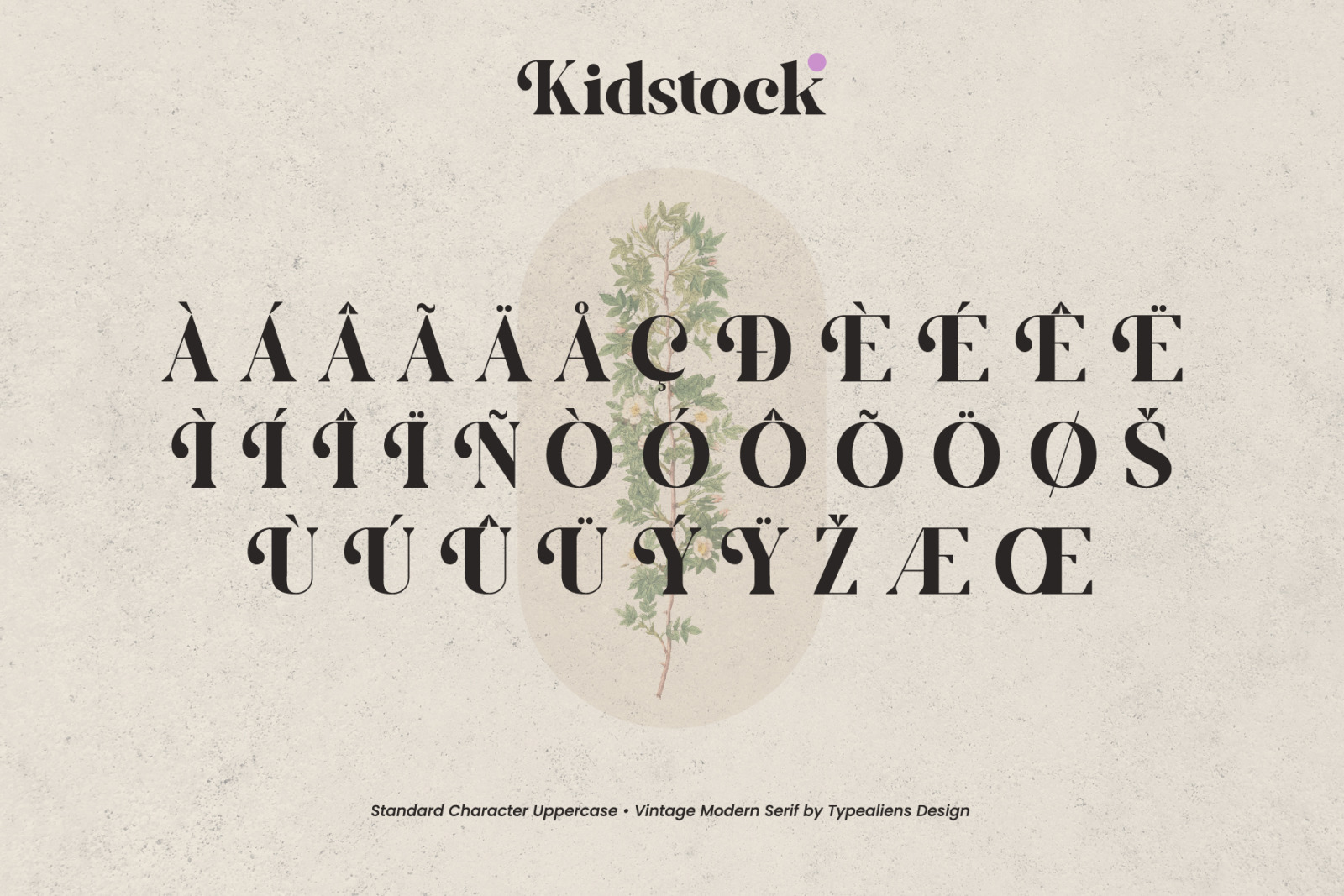 Kidstock Font Kidstock Font