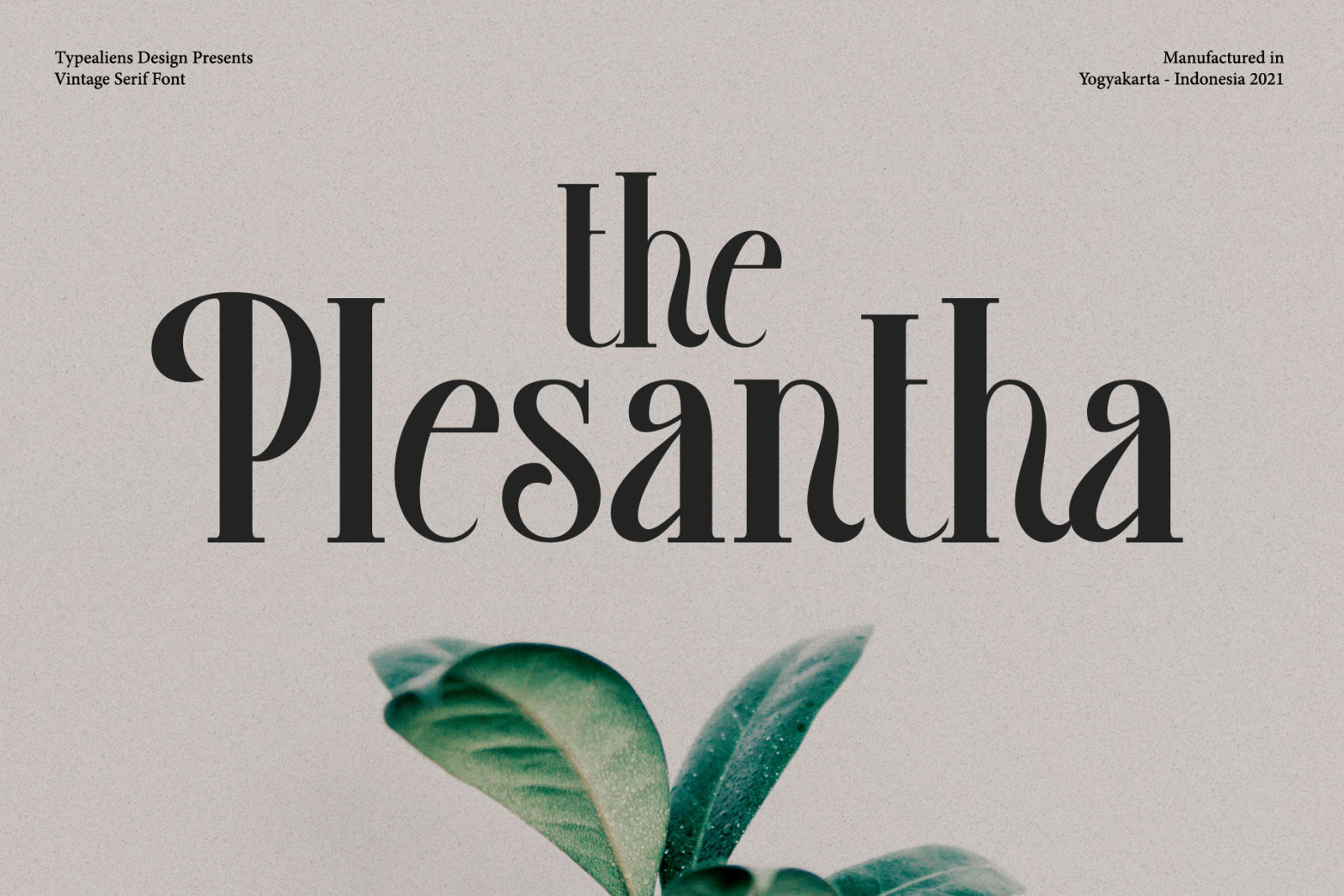 Plesantha Font