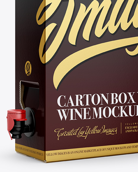 Carton Box with Wine Dispenser - Half Side View