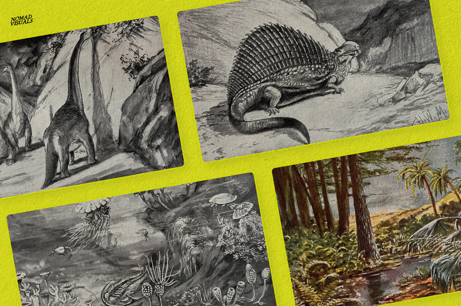 The Age of Dinosaurs The Age of Dinosaurs