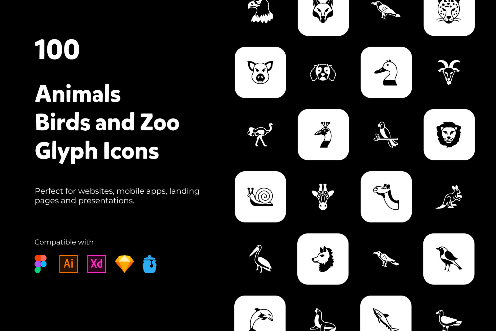 100 Animals, Birds and Zoo