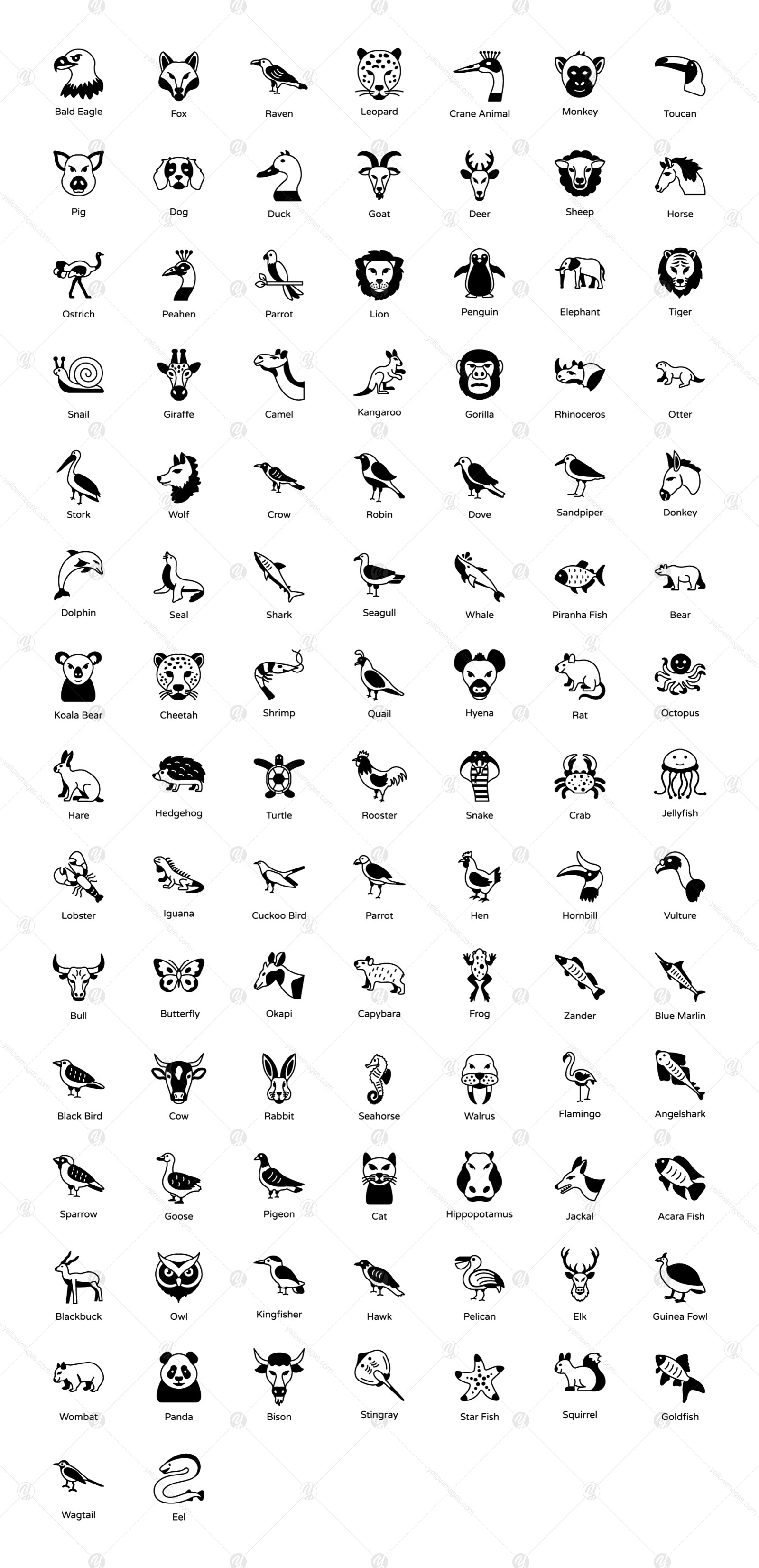 100 Animals, Birds and Zoo