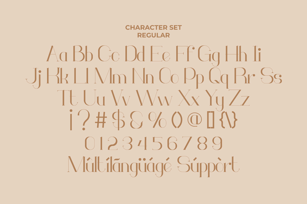 Monodic Serif Font