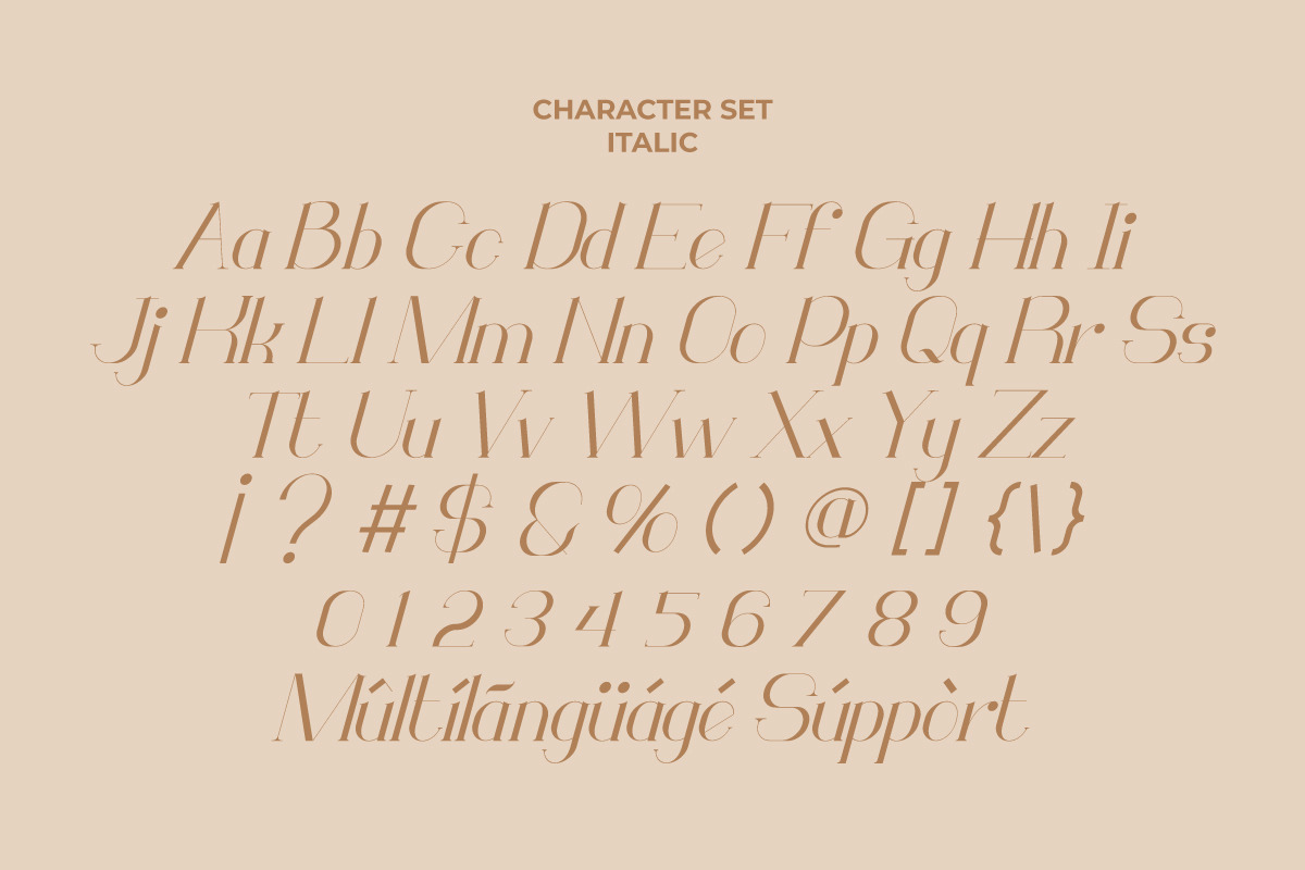 Monodic Serif Font