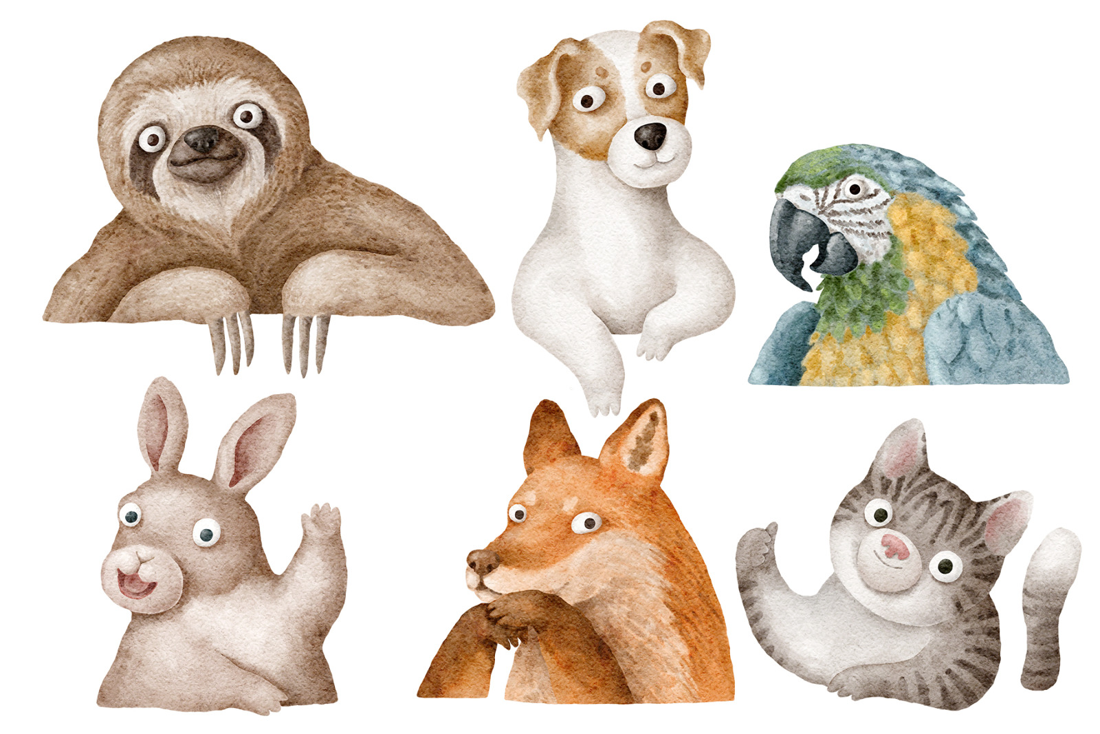 Animals digital graphics png