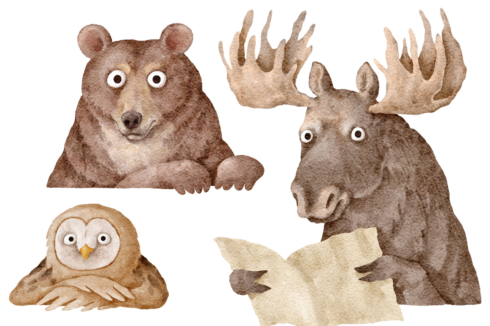 Animals digital graphics png Animals digital graphics png