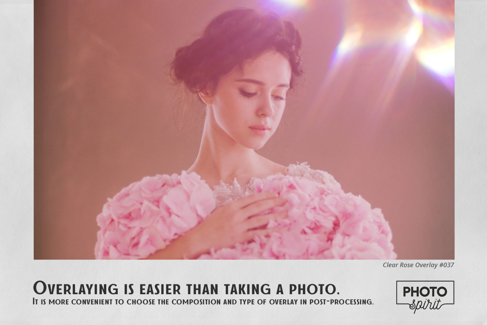 Dusted Rose Overlays Dusted Rose Overlays