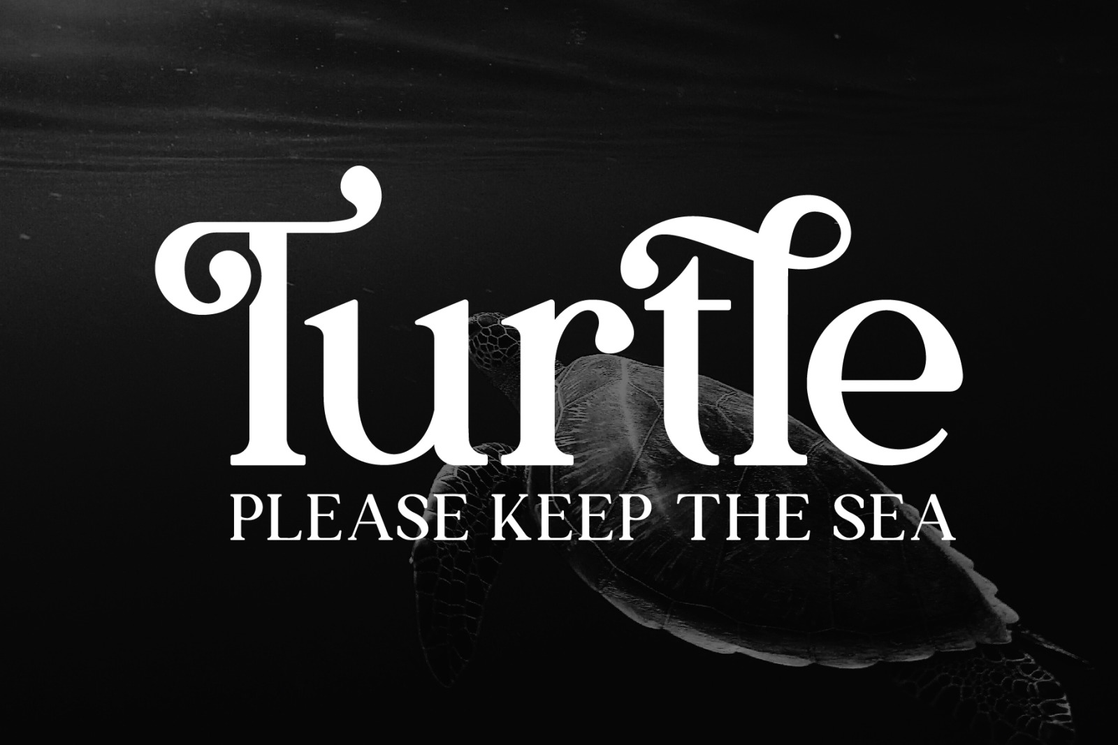 Vastrone | Classic Serif Font Vastrone | Classic Serif Font