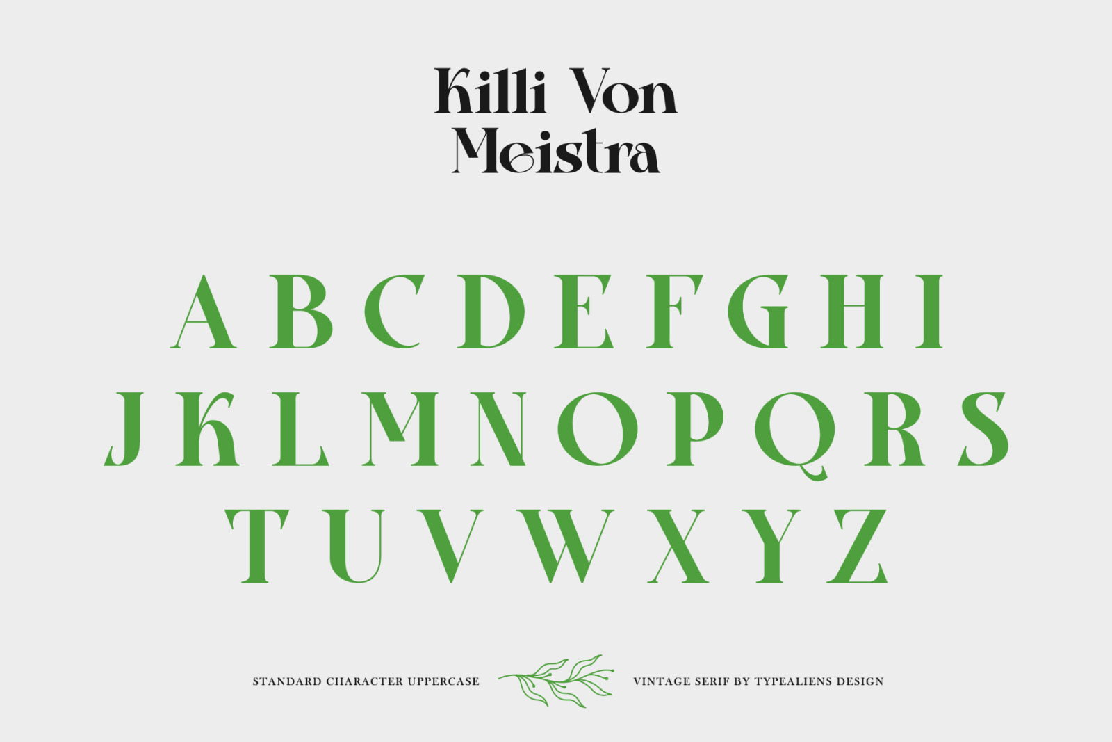 Killi Von Meistra Font Killi Von Meistra Font